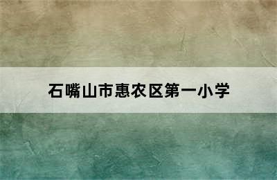 石嘴山市惠农区第一小学