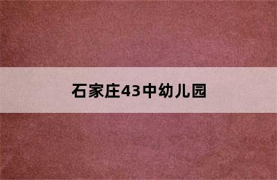 石家庄43中幼儿园