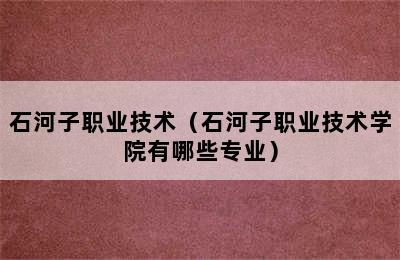 石河子职业技术（石河子职业技术学院有哪些专业）