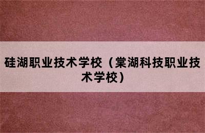 硅湖职业技术学校（棠湖科技职业技术学校）