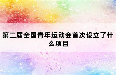 第二届全国青年运动会首次设立了什么项目