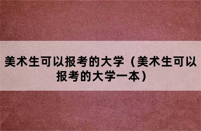 美术生可以报考的大学（美术生可以报考的大学一本）