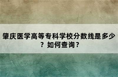 肇庆医学高等专科学校分数线是多少？如何查询？