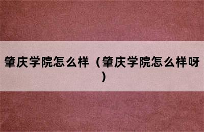 肇庆学院怎么样（肇庆学院怎么样呀）