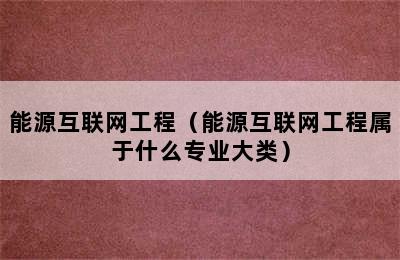 能源互联网工程（能源互联网工程属于什么专业大类）