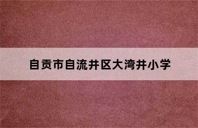 自贡市自流井区大湾井小学