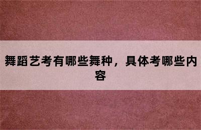 舞蹈艺考有哪些舞种，具体考哪些内容