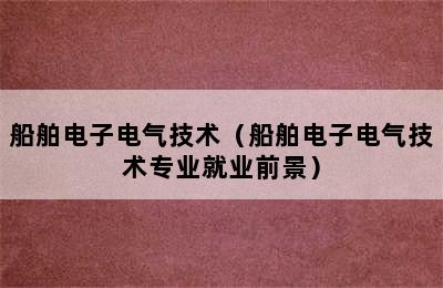 船舶电子电气技术（船舶电子电气技术专业就业前景）