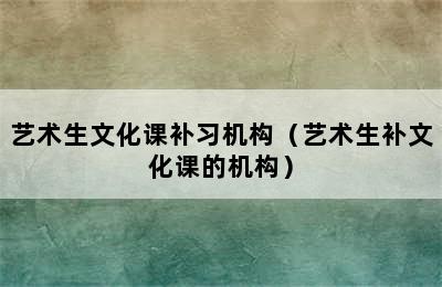 艺术生文化课补习机构（艺术生补文化课的机构）