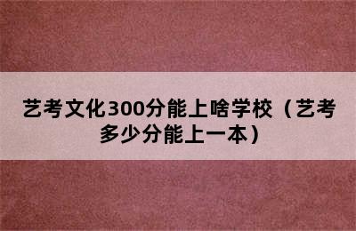 艺考文化300分能上啥学校（艺考多少分能上一本）