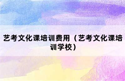 艺考文化课培训费用（艺考文化课培训学校）