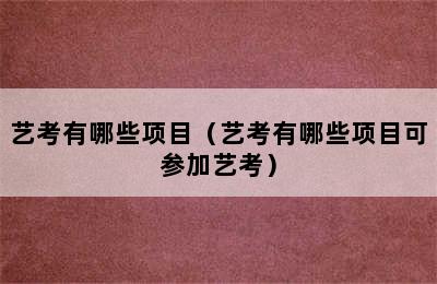 艺考有哪些项目（艺考有哪些项目可参加艺考）