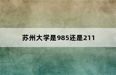 苏州大学是985还是211