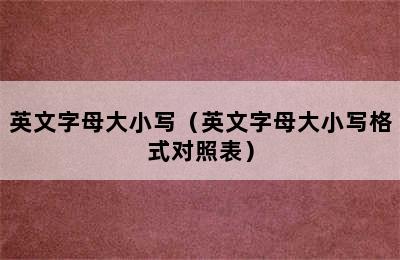 英文字母大小写（英文字母大小写格式对照表）