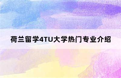 荷兰留学4TU大学热门专业介绍