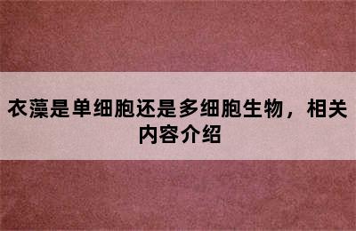 衣藻是单细胞还是多细胞生物，相关内容介绍