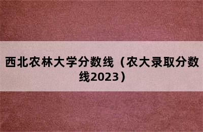 西北农林大学分数线（农大录取分数线2023）