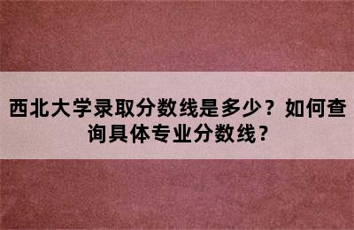 西北大学录取分数线是多少？如何查询具体专业分数线？