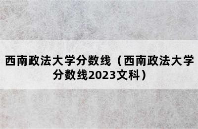 西南政法大学分数线（西南政法大学分数线2023文科）