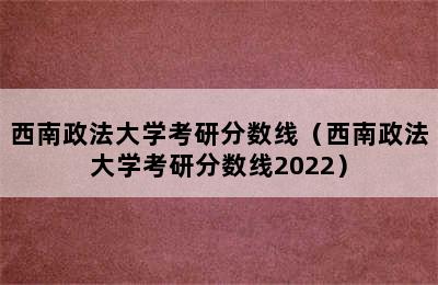 西南政法大学考研分数线（西南政法大学考研分数线2022）