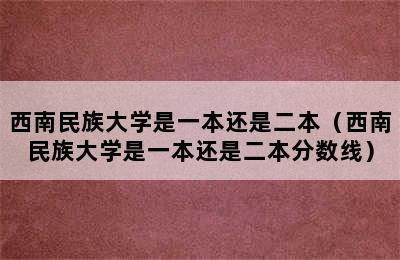 西南民族大学是一本还是二本（西南民族大学是一本还是二本分数线）