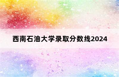 西南石油大学录取分数线2024