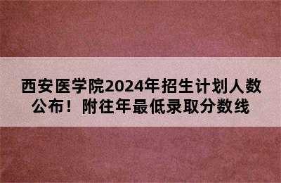 西安医学院2024年招生计划人数公布！附往年最低录取分数线