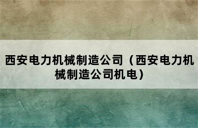 西安电力机械制造公司（西安电力机械制造公司机电）