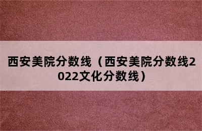 西安美院分数线（西安美院分数线2022文化分数线）