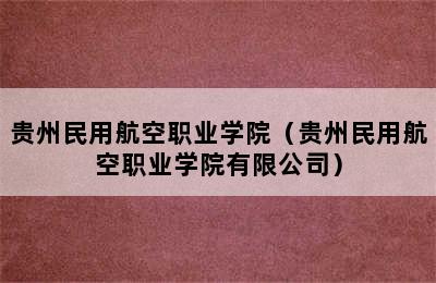 贵州民用航空职业学院（贵州民用航空职业学院有限公司）