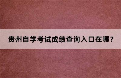 贵州自学考试成绩查询入口在哪？