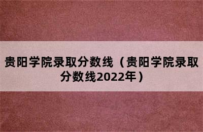 贵阳学院录取分数线（贵阳学院录取分数线2022年）