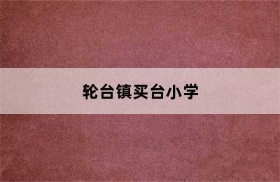 轮台镇买台小学