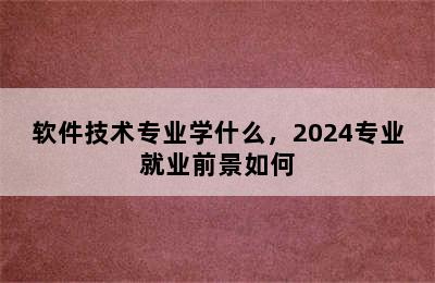 软件技术专业学什么，2024专业就业前景如何