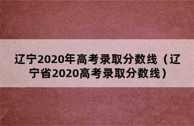 辽宁2020年高考录取分数线（辽宁省2020高考录取分数线）