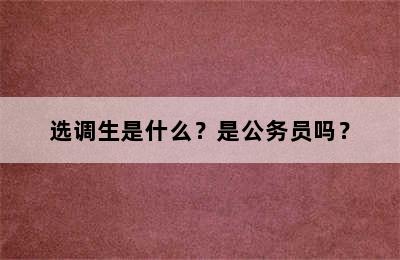 选调生是什么？是公务员吗？