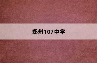 郑州107中学