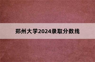 郑州大学2024录取分数线