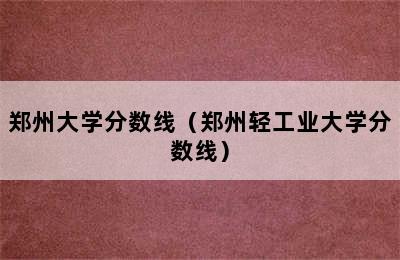 郑州大学分数线（郑州轻工业大学分数线）