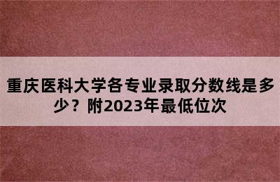 重庆医科大学各专业录取分数线是多少？附2023年最低位次