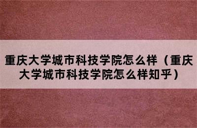 重庆大学城市科技学院怎么样（重庆大学城市科技学院怎么样知乎）