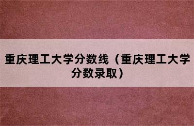 重庆理工大学分数线（重庆理工大学分数录取）