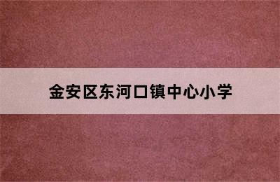 金安区东河口镇中心小学