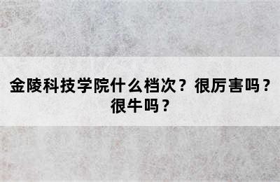 金陵科技学院什么档次？很厉害吗？很牛吗？