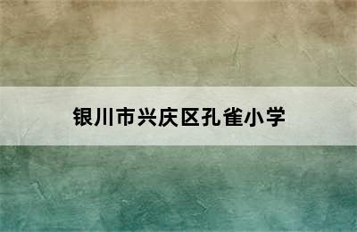 银川市兴庆区孔雀小学