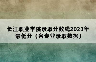 长江职业学院录取分数线2023年最低分（各专业录取数据）