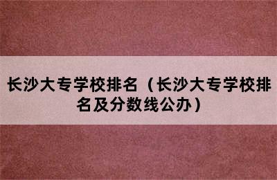 长沙大专学校排名（长沙大专学校排名及分数线公办）