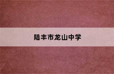 陆丰市龙山中学