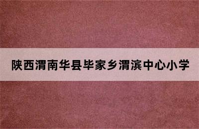 陕西渭南华县毕家乡渭滨中心小学