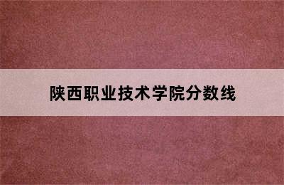 陕西职业技术学院分数线